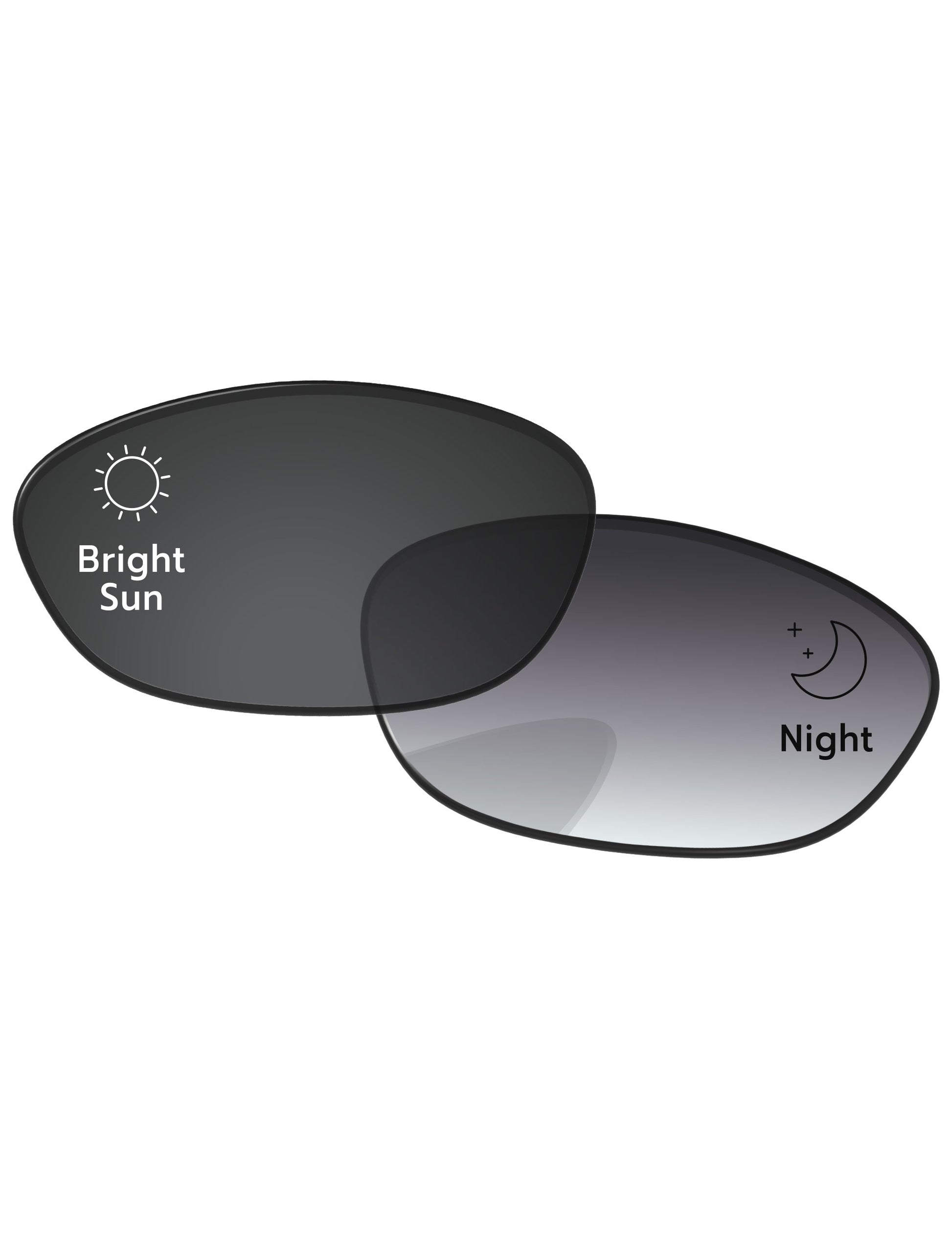 Gray Gradient Photochromic-Standard
