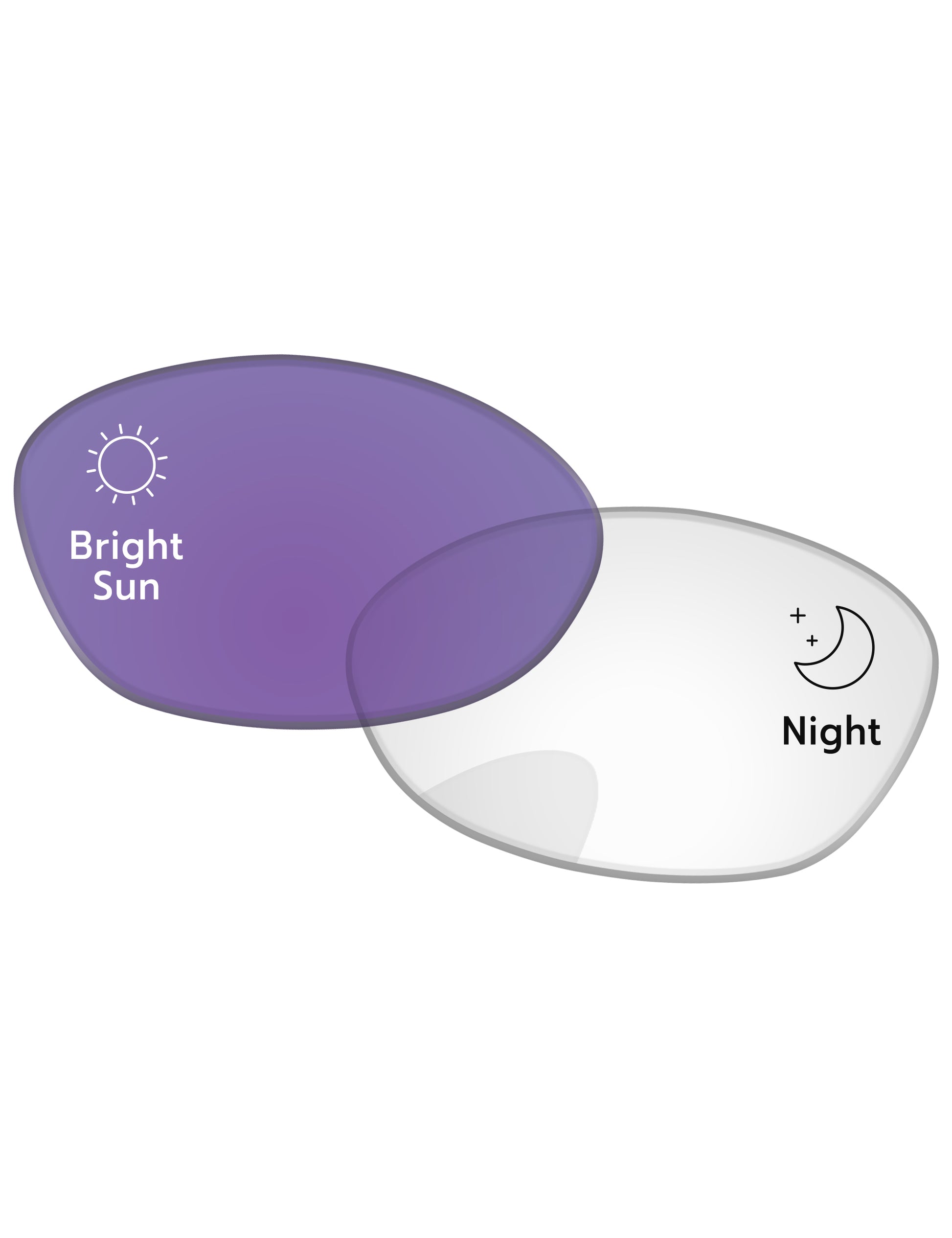 Adapt Purple Photochromic-Standard