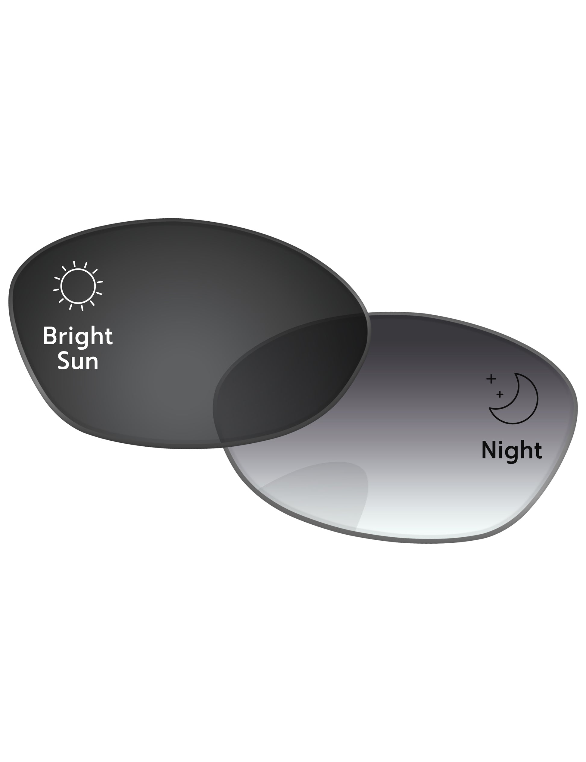 Gray Gradient Photochromic-Standard