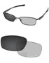 Gray Photochromic-Pro