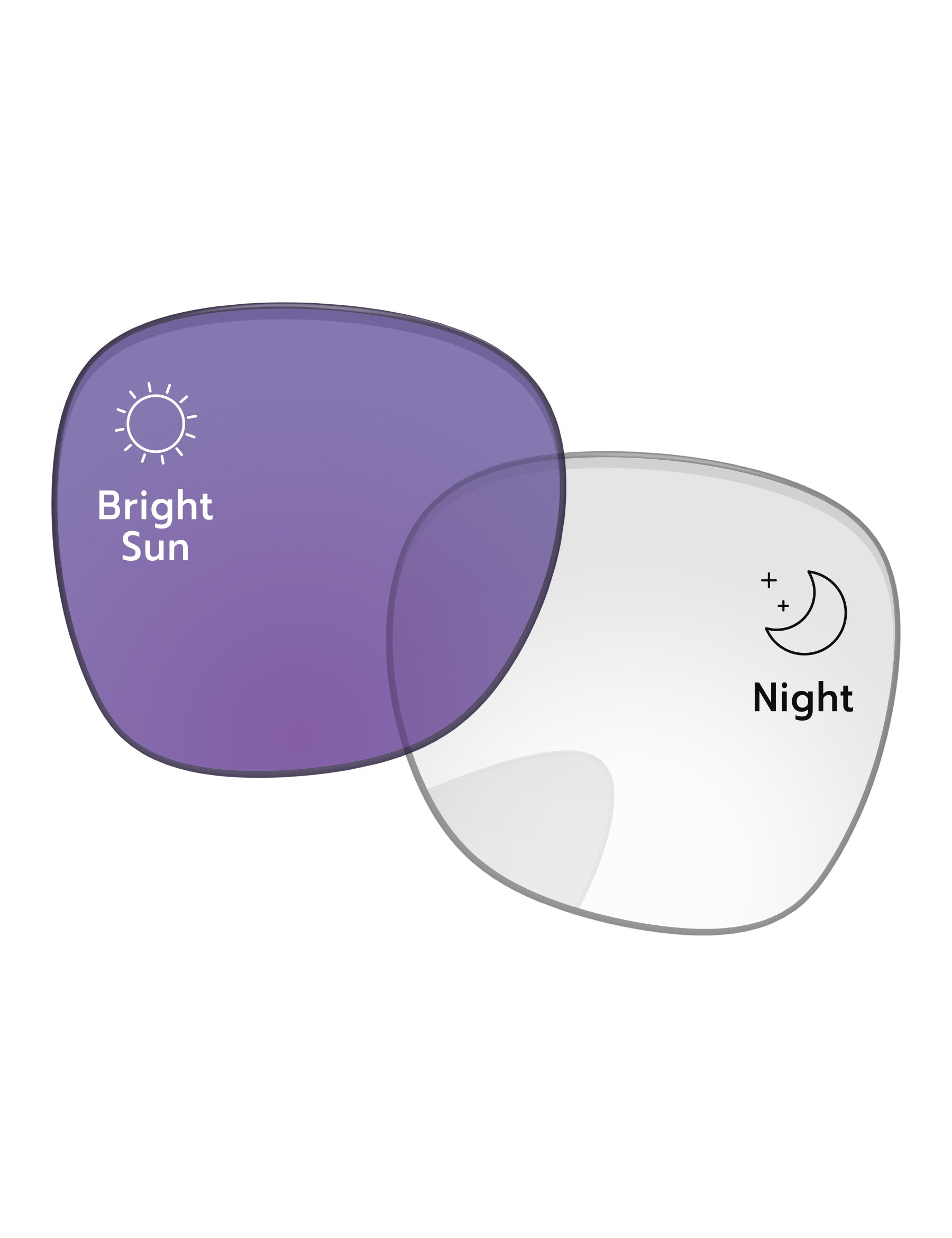 Adapt Purple Photochromic-Standard