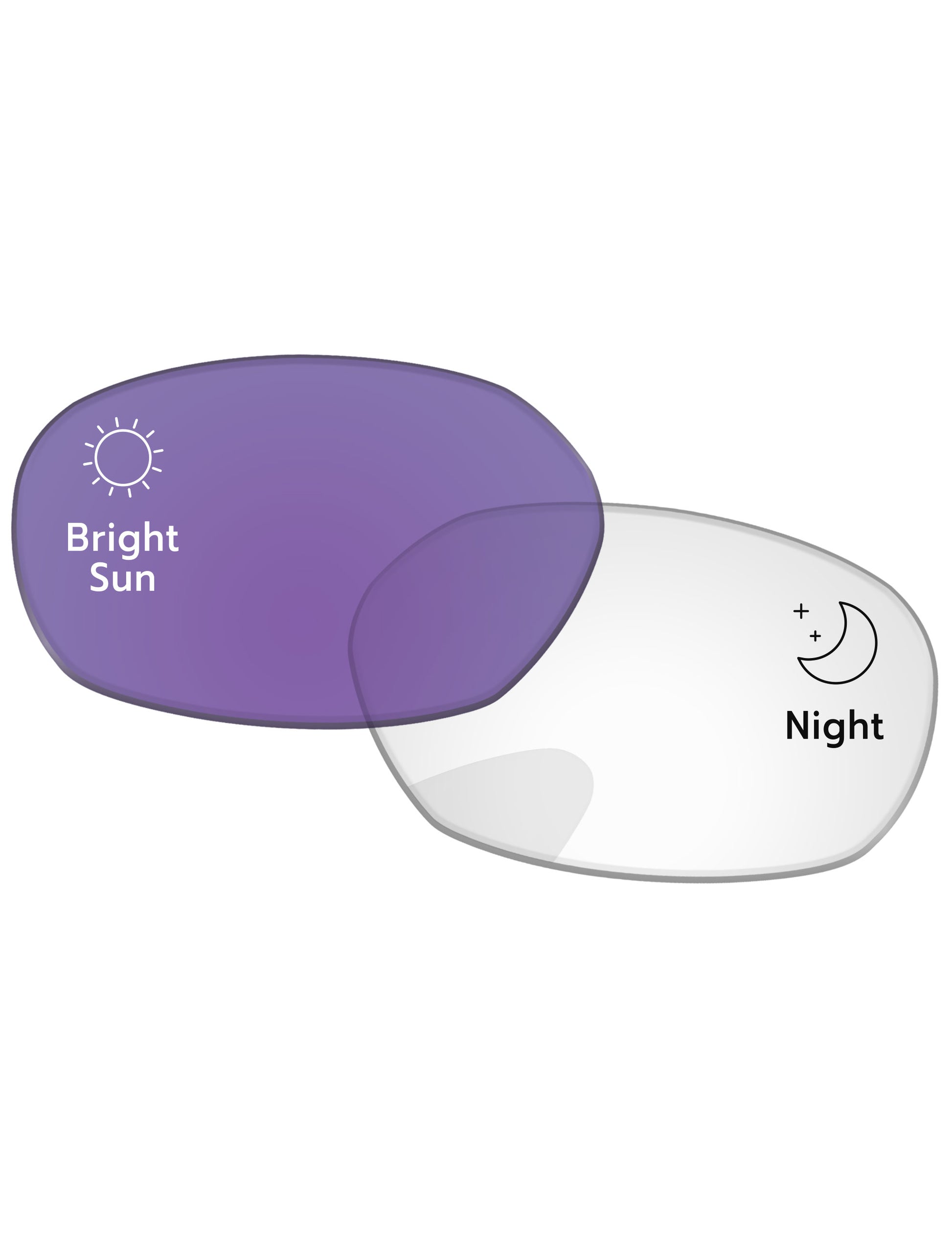 Adapt Purple Photochromic-Standard