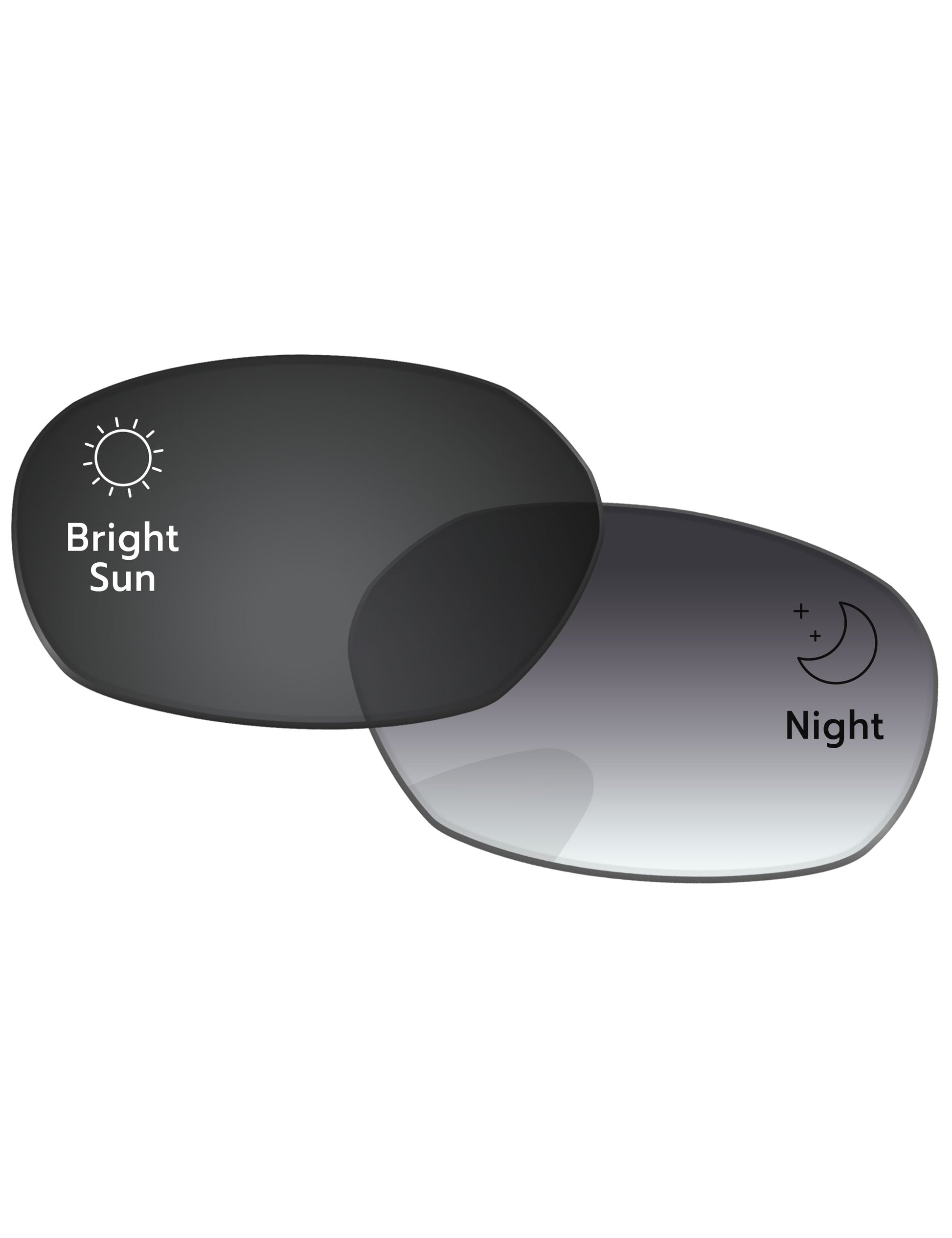 Gray Gradient Photochromic-Standard
