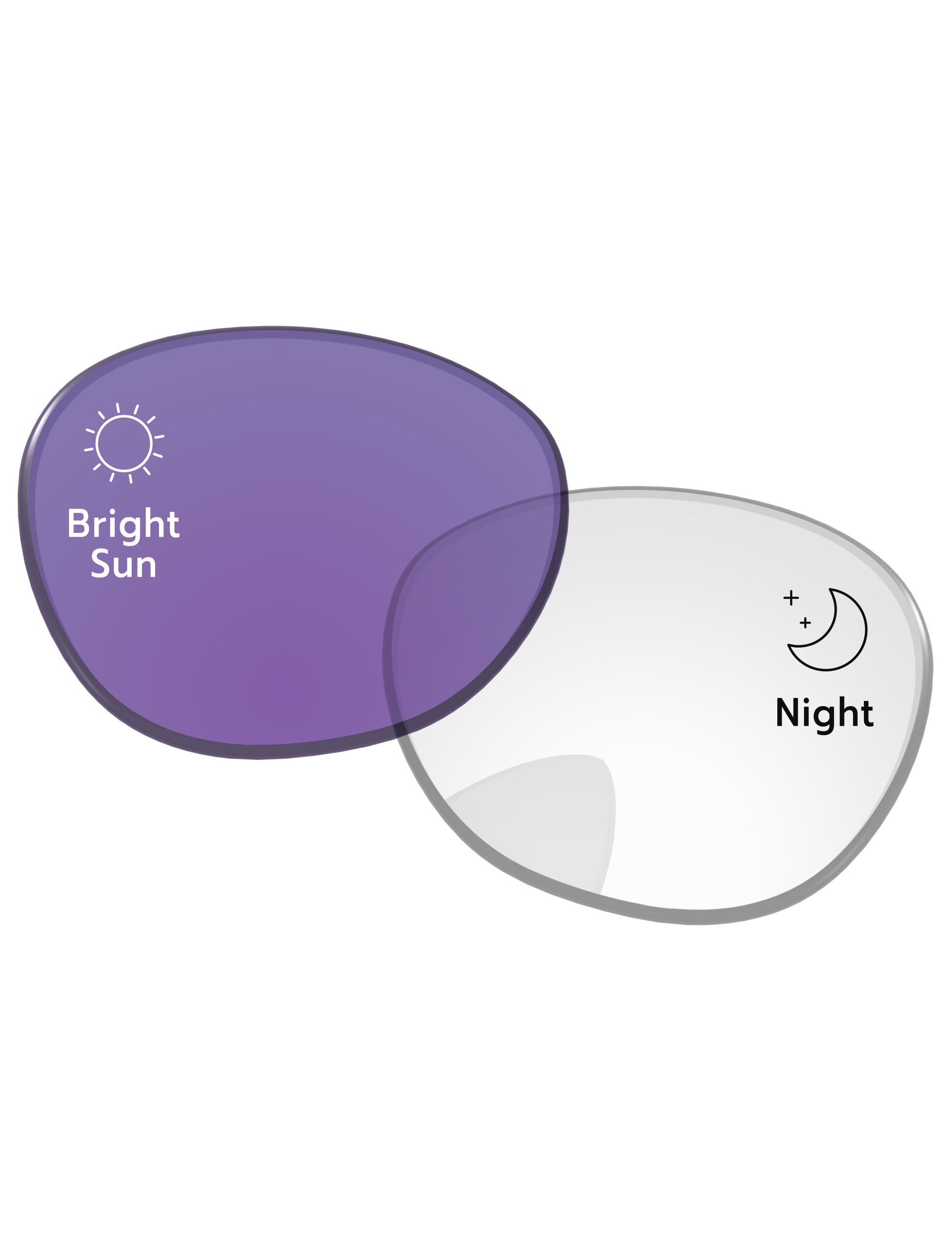 Adapt Purple Photochromic-Standard