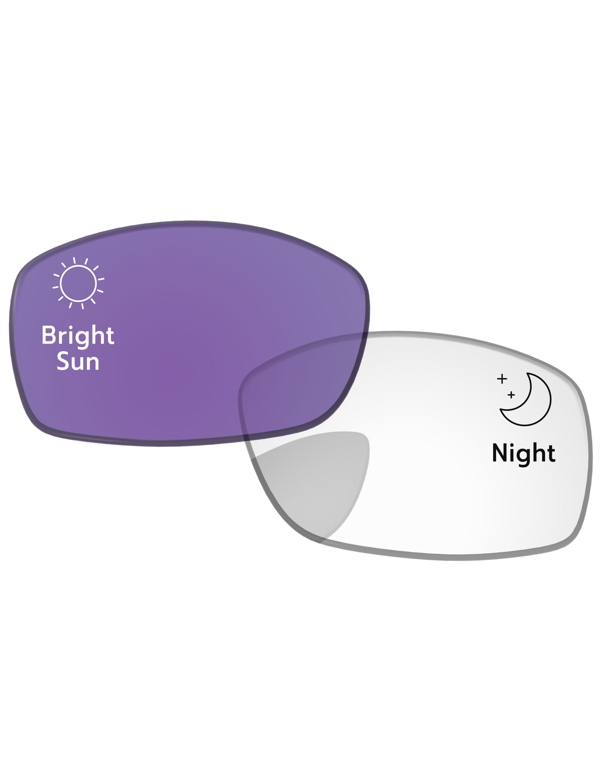 Adapt Purple Photochromic-Standard