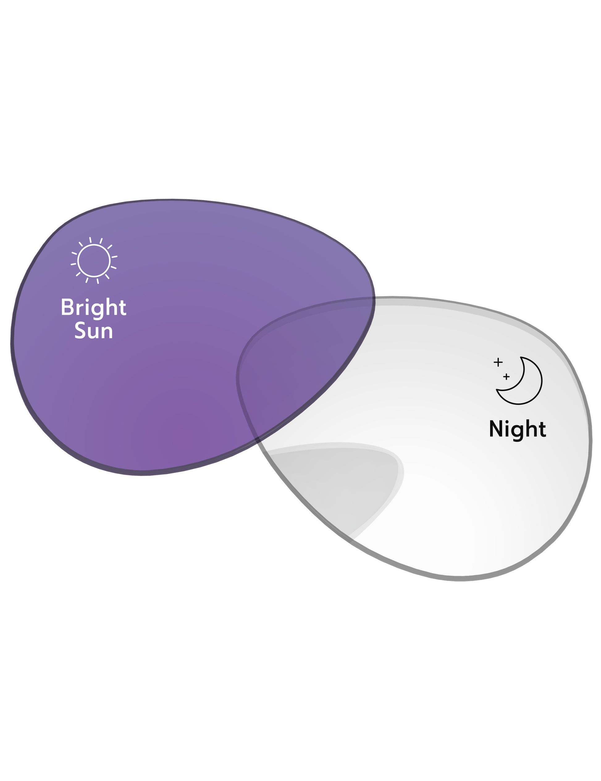 Adapt Purple Photochromic-Standard
