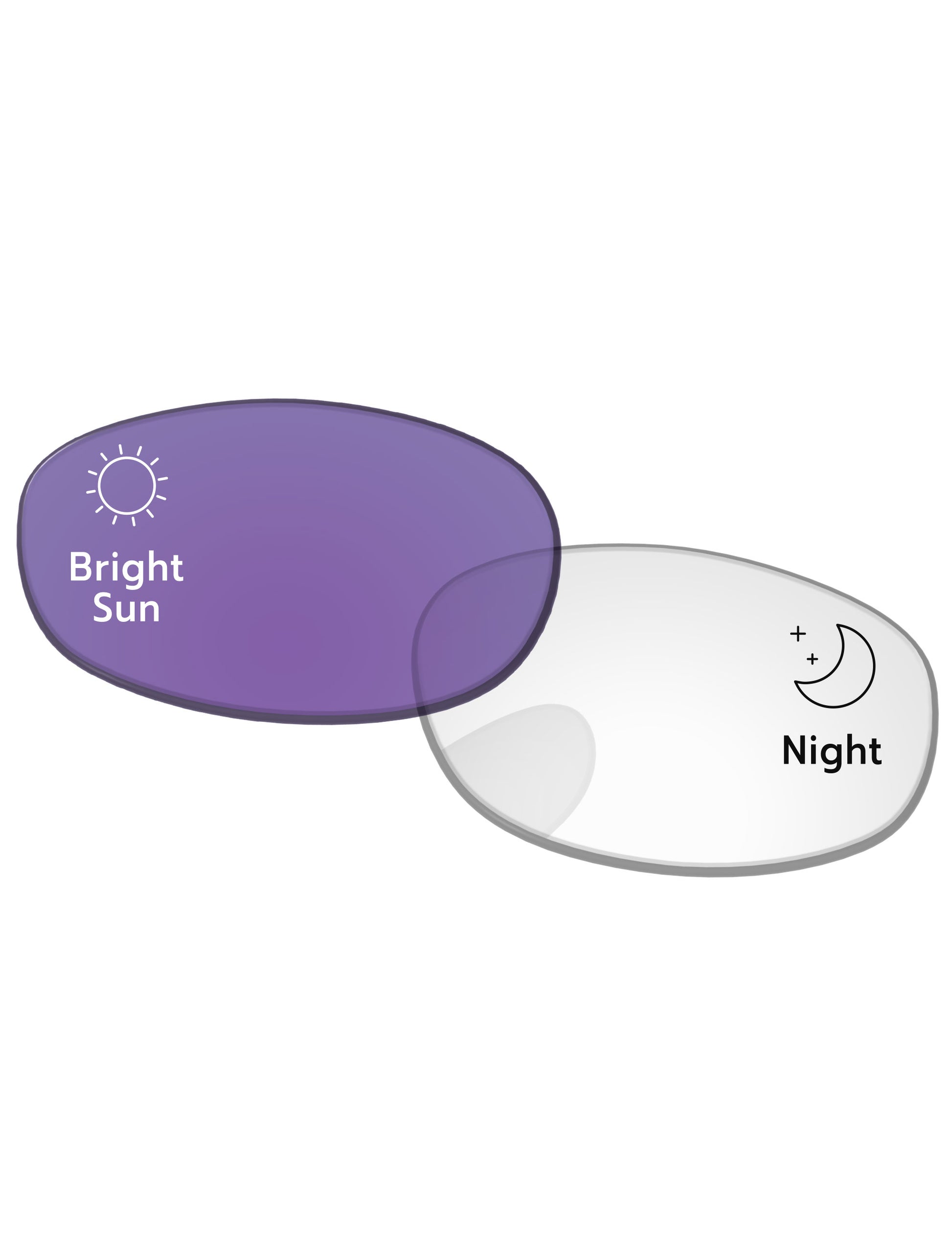 Adapt Purple Photochromic-Standard