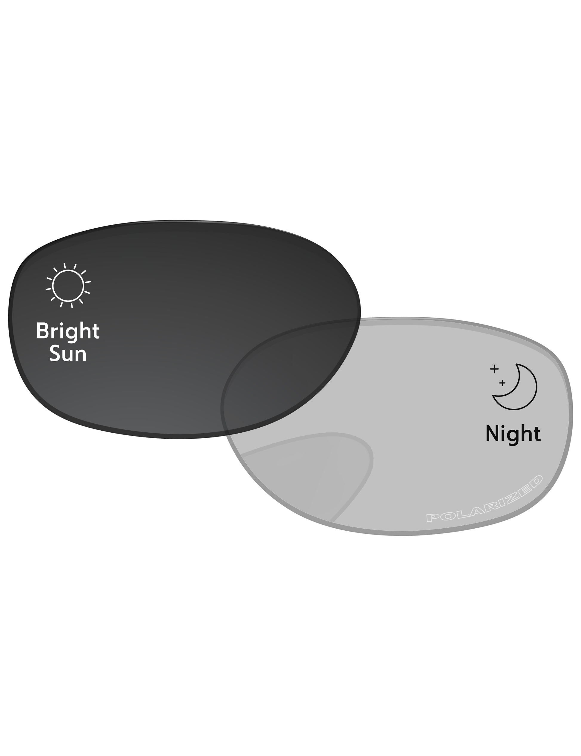 Gray Photochromic-Pro