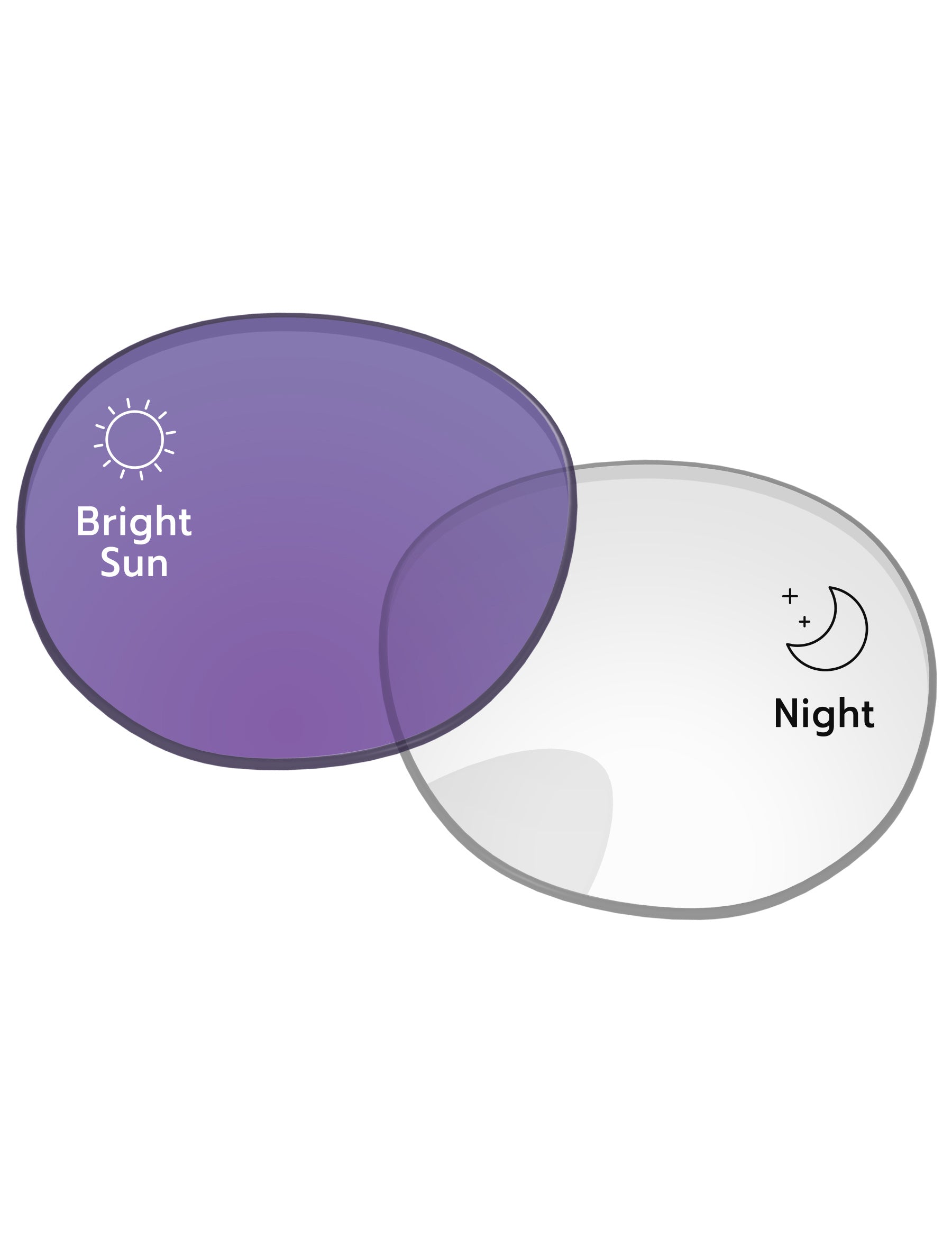 Adapt Purple Photochromic-Standard