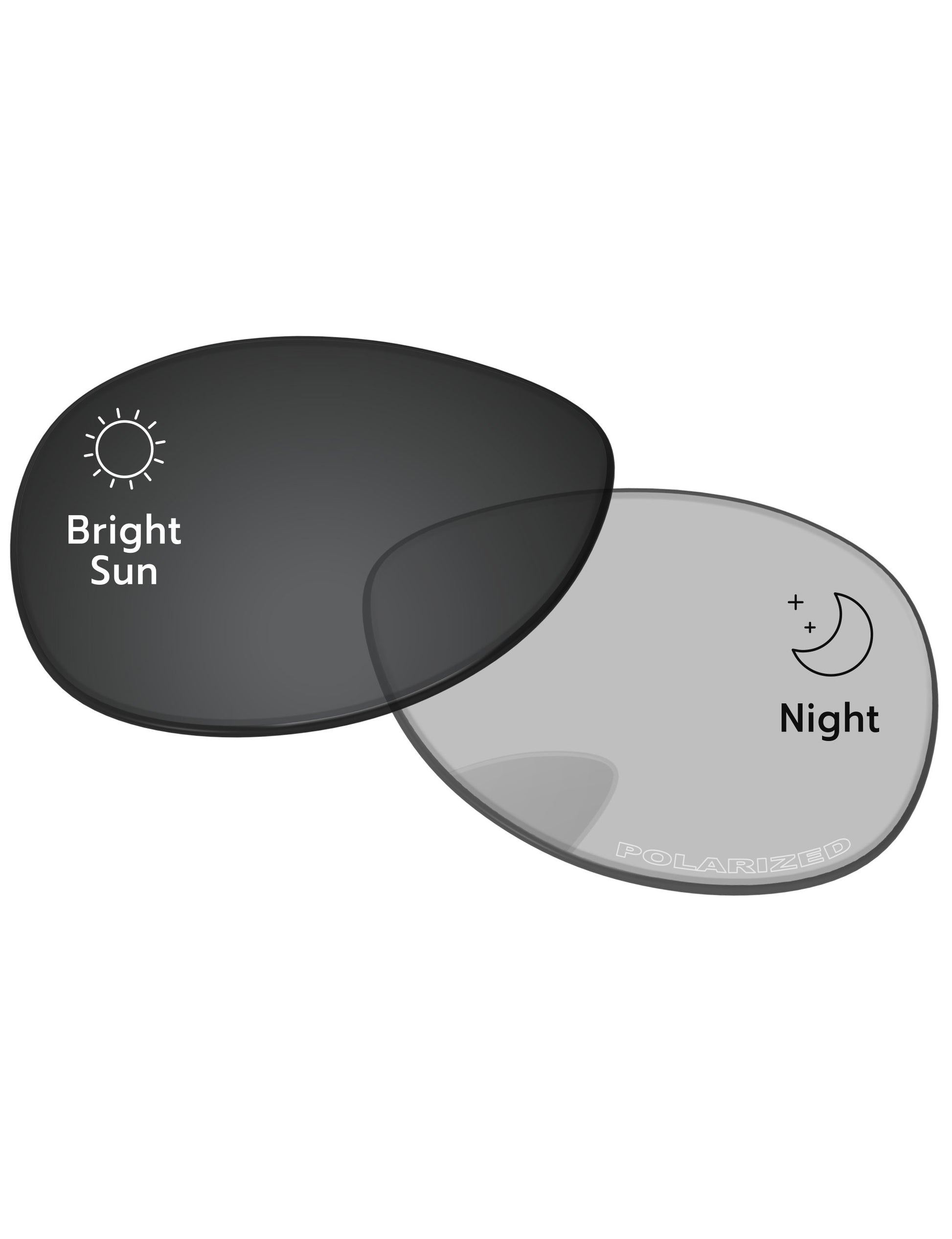 Gray Photochromic-Pro