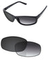Gray Gradient Photochromic-Standard