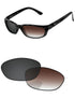 Brown Gradient Gray Photochromic-Standard
