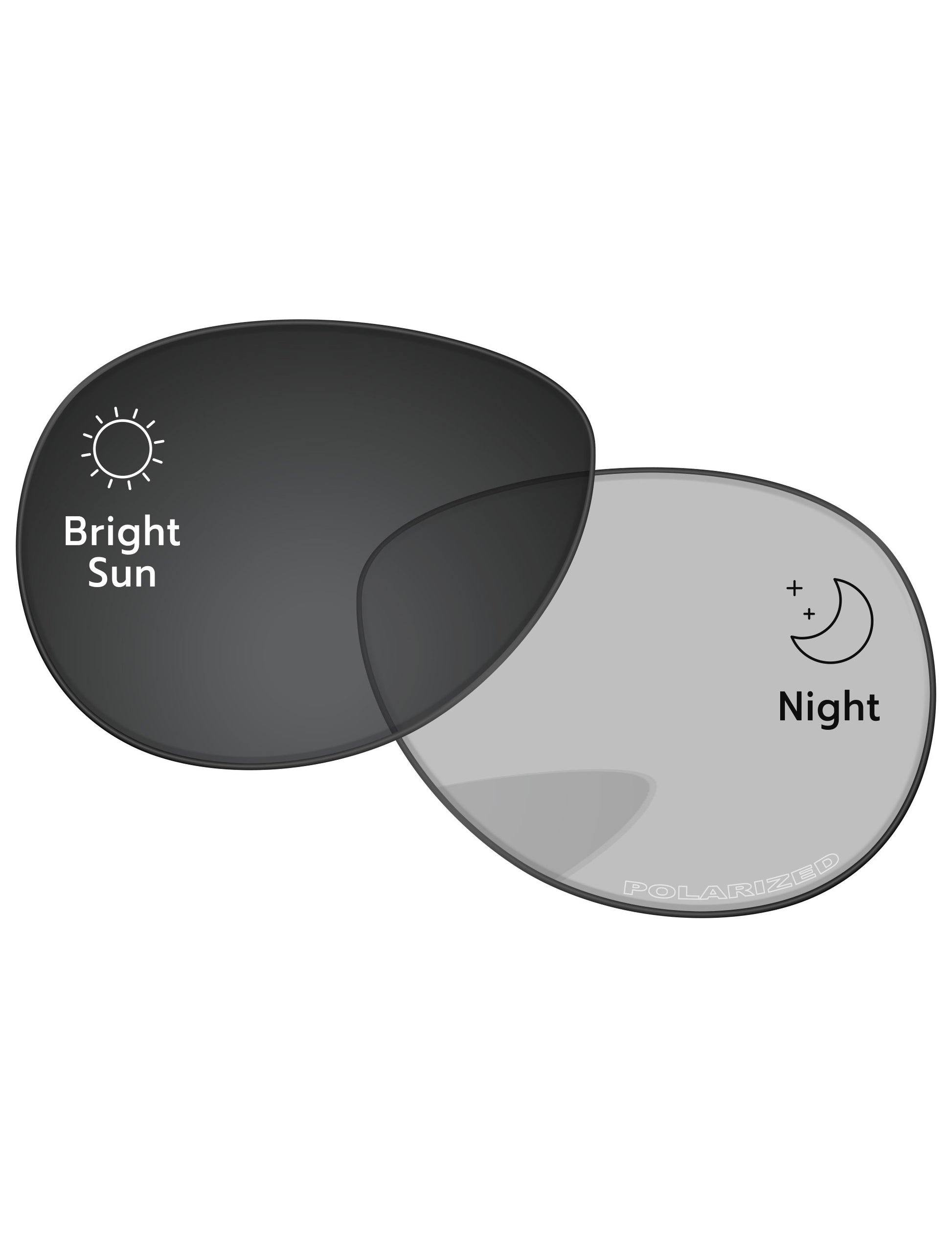 Gray Photochromic-Pro