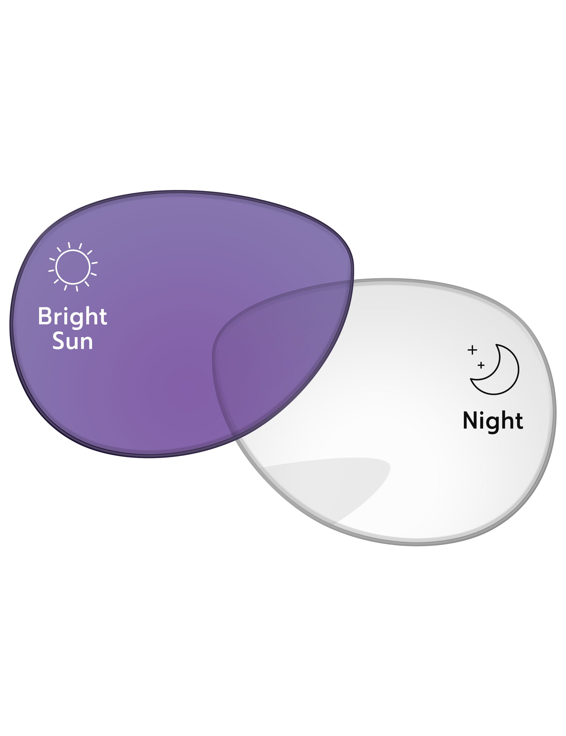 Adapt Purple Photochromic-Standard