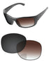 Brown Gradient Gray Photochromic-Standard