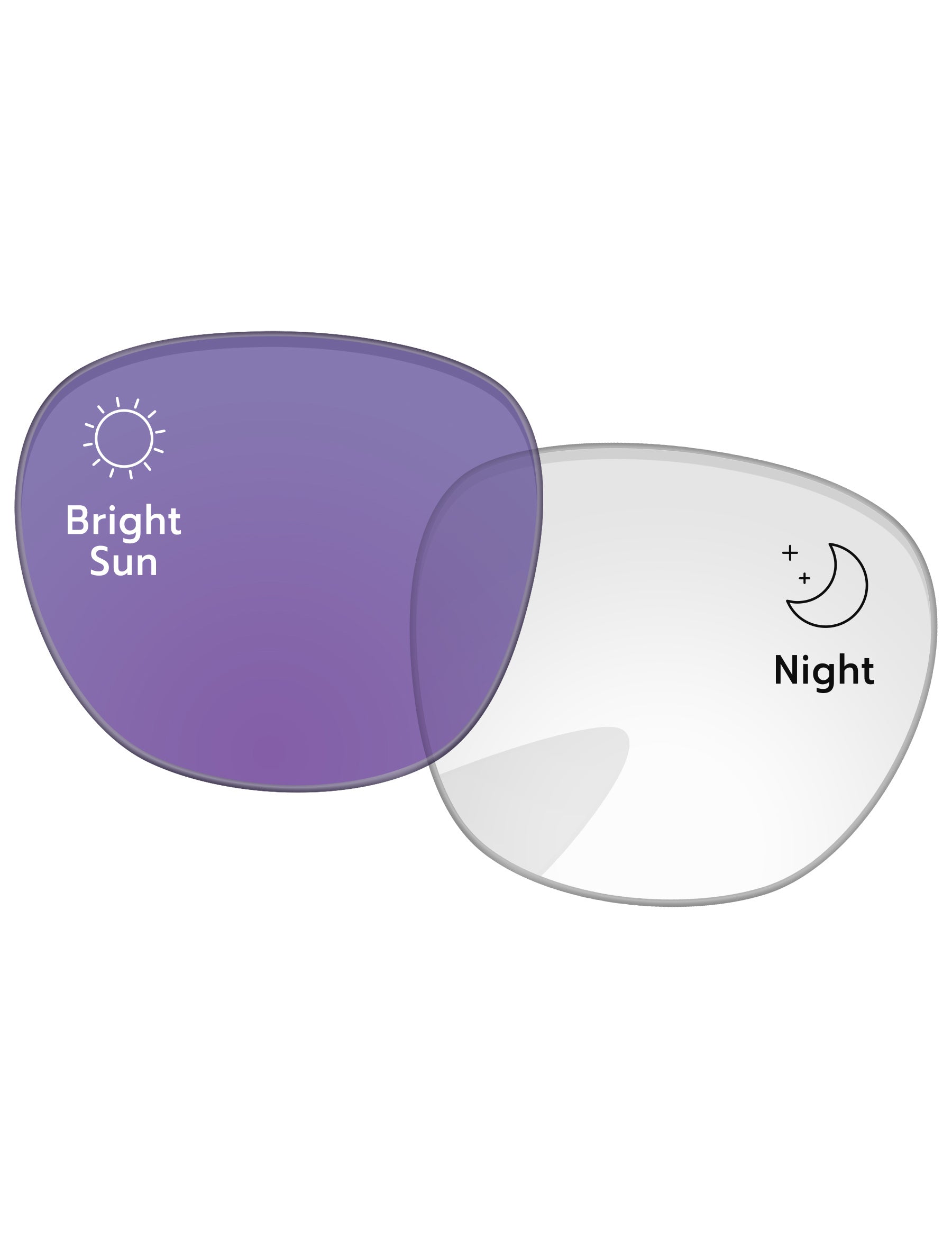 Adapt Purple Photochromic-Standard