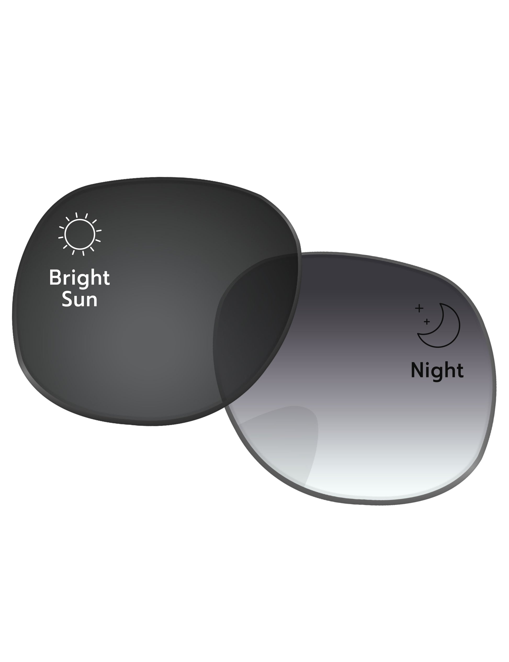Gray Gradient Photochromic-Standard