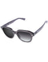 Gray Gradient Photochromic-Standard