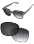 Gray Gradient Photochromic-Standard