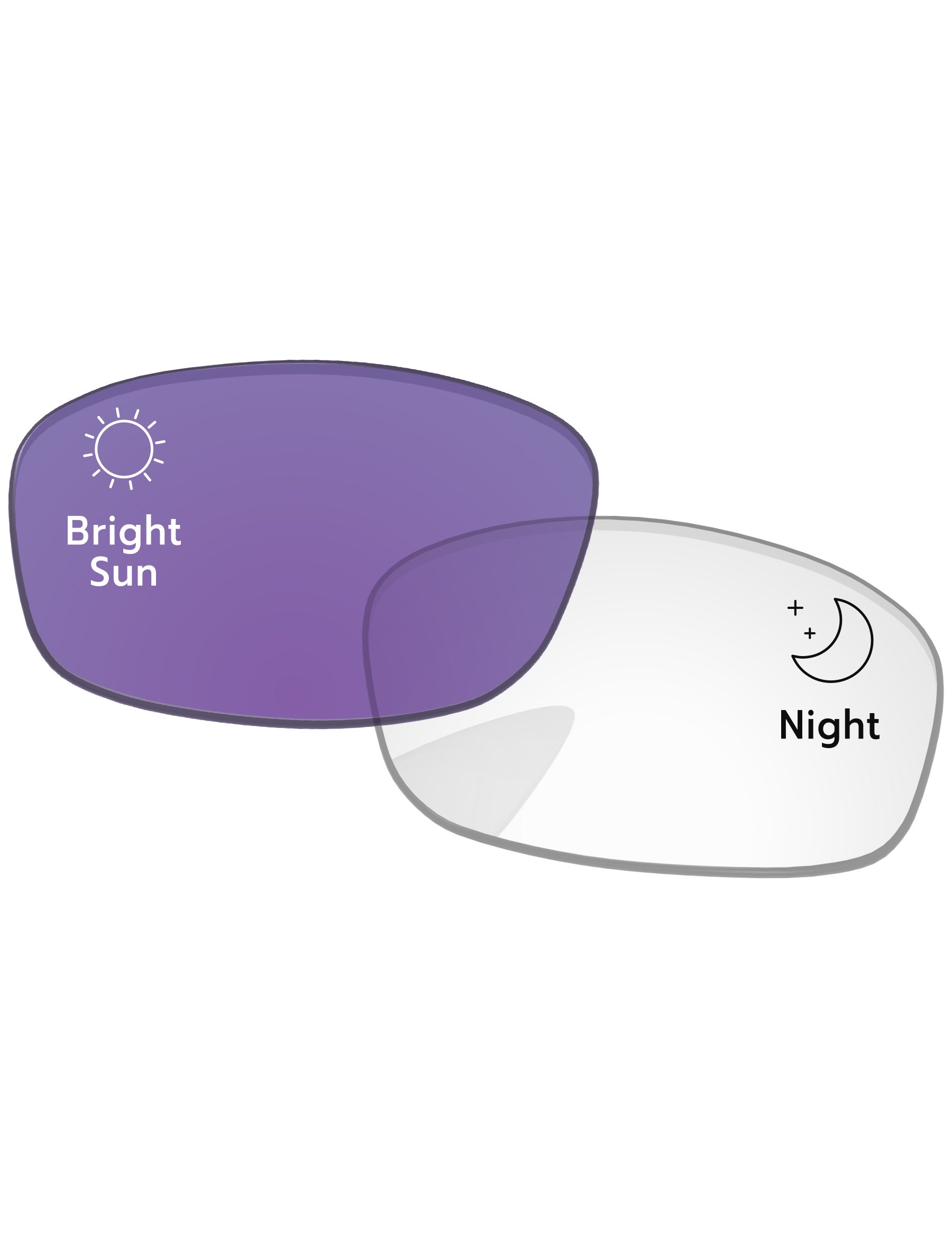 Adapt Purple Photochromic-Standard