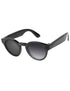 Gray Gradient Photochromic-Standard