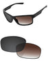 Brown Gradient Gray Photochromic-Standard