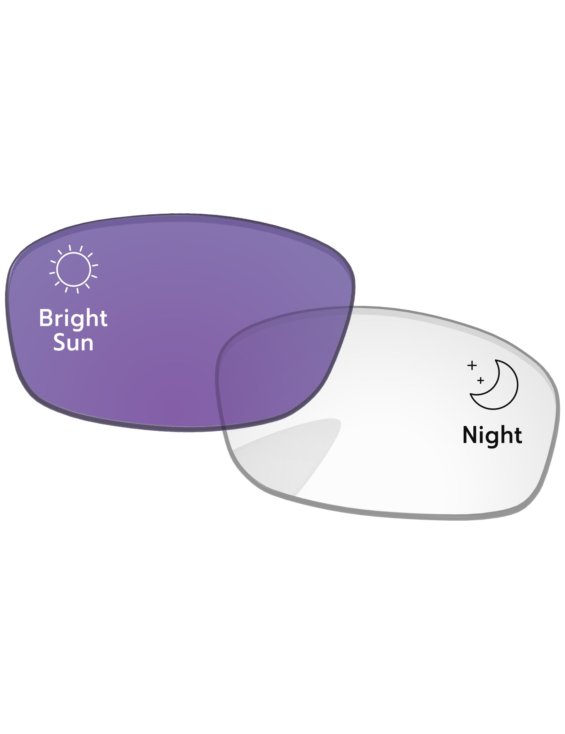 Adapt Purple Photochromic-Standard