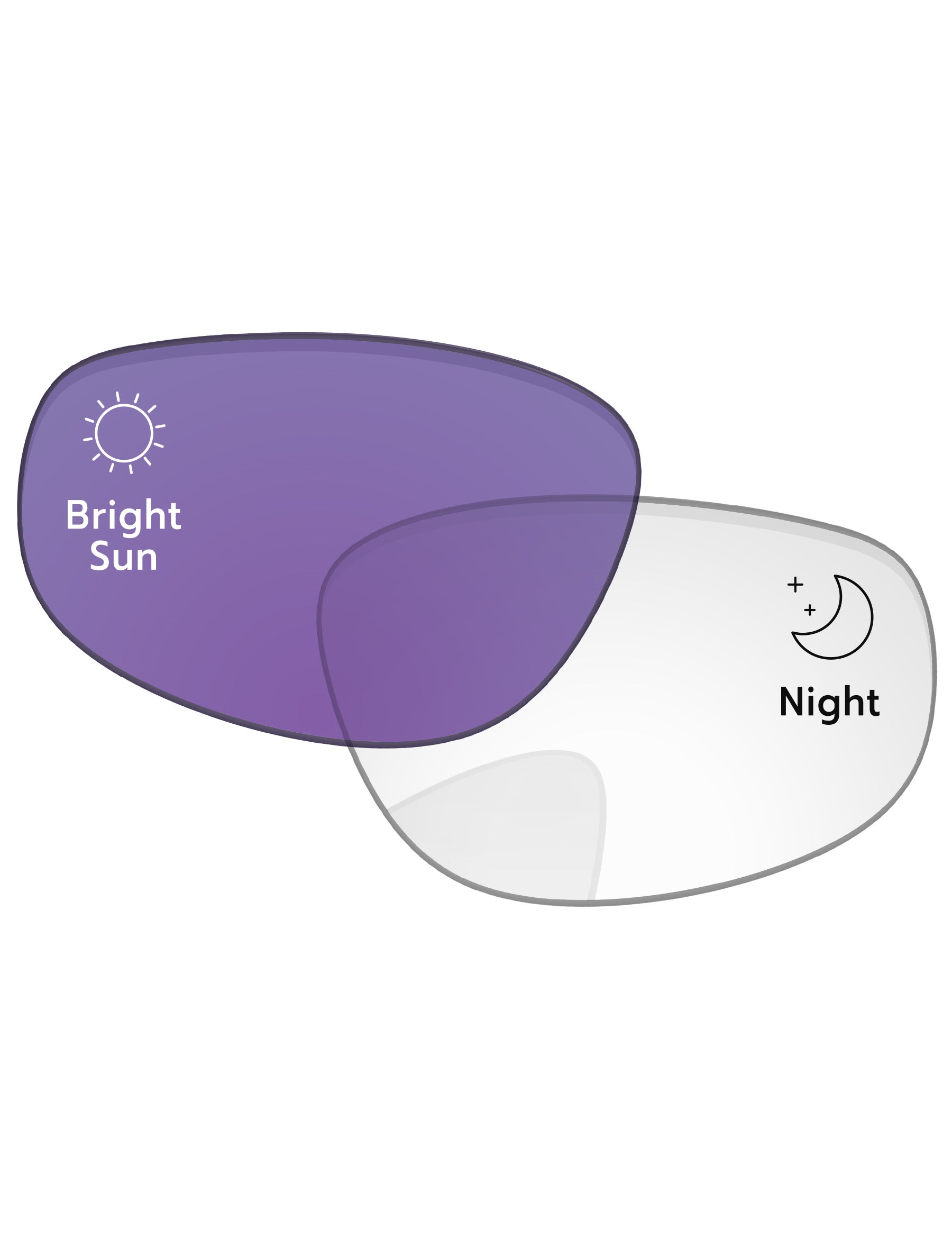 Adapt Purple Photochromic-Standard