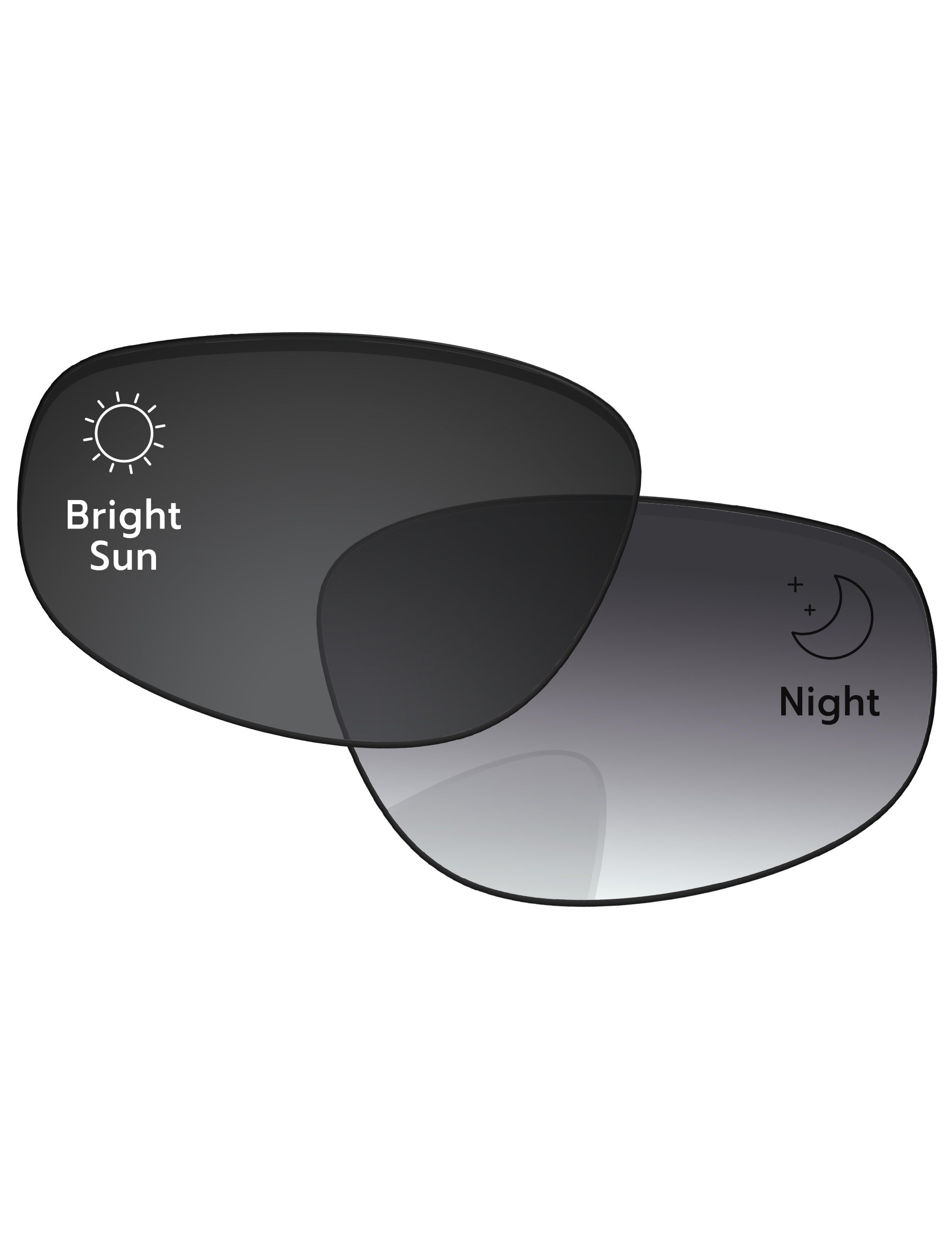 Gray Gradient Photochromic-Standard