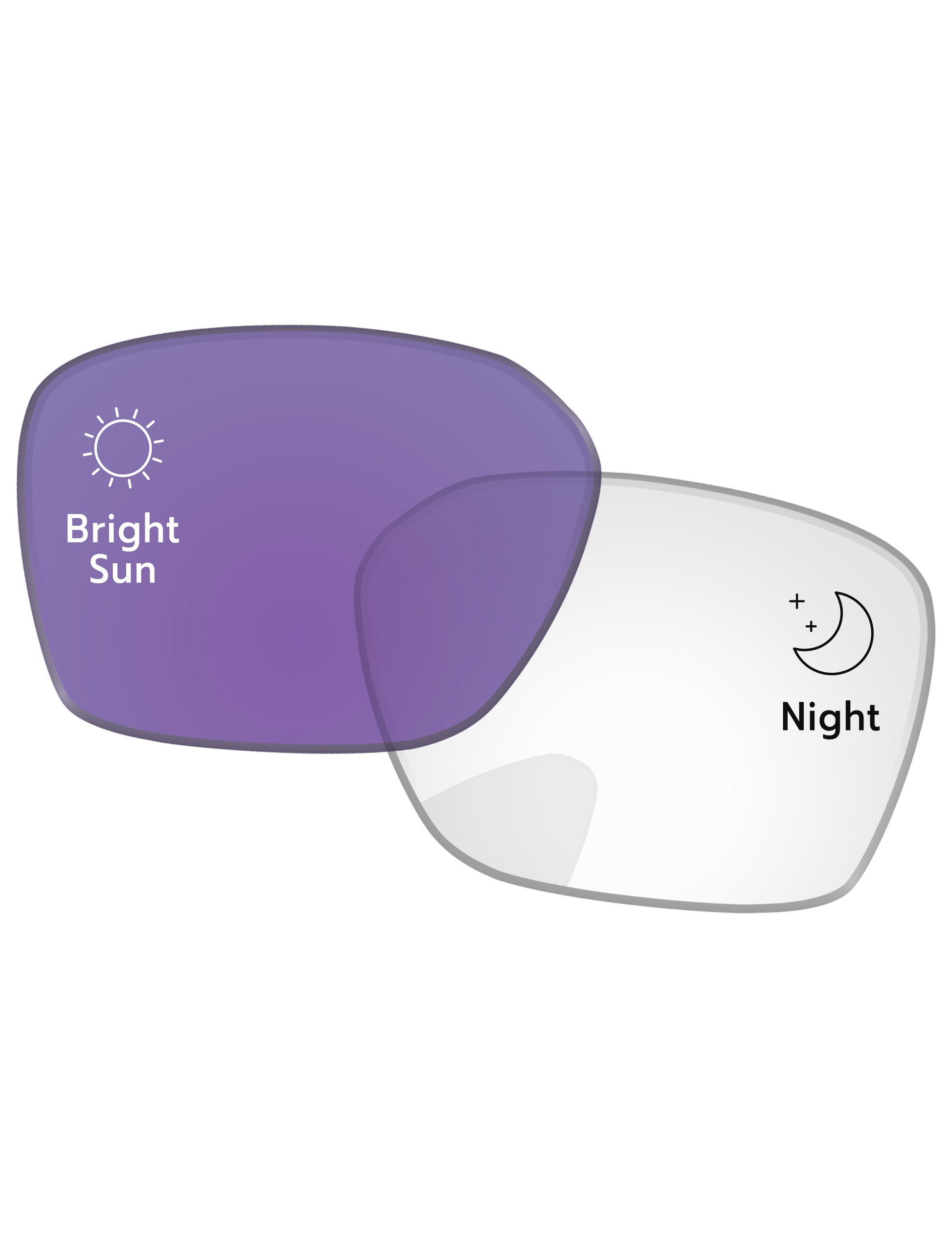 Adapt Purple Photochromic-Standard
