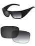 Gray Gradient Photochromic-Standard