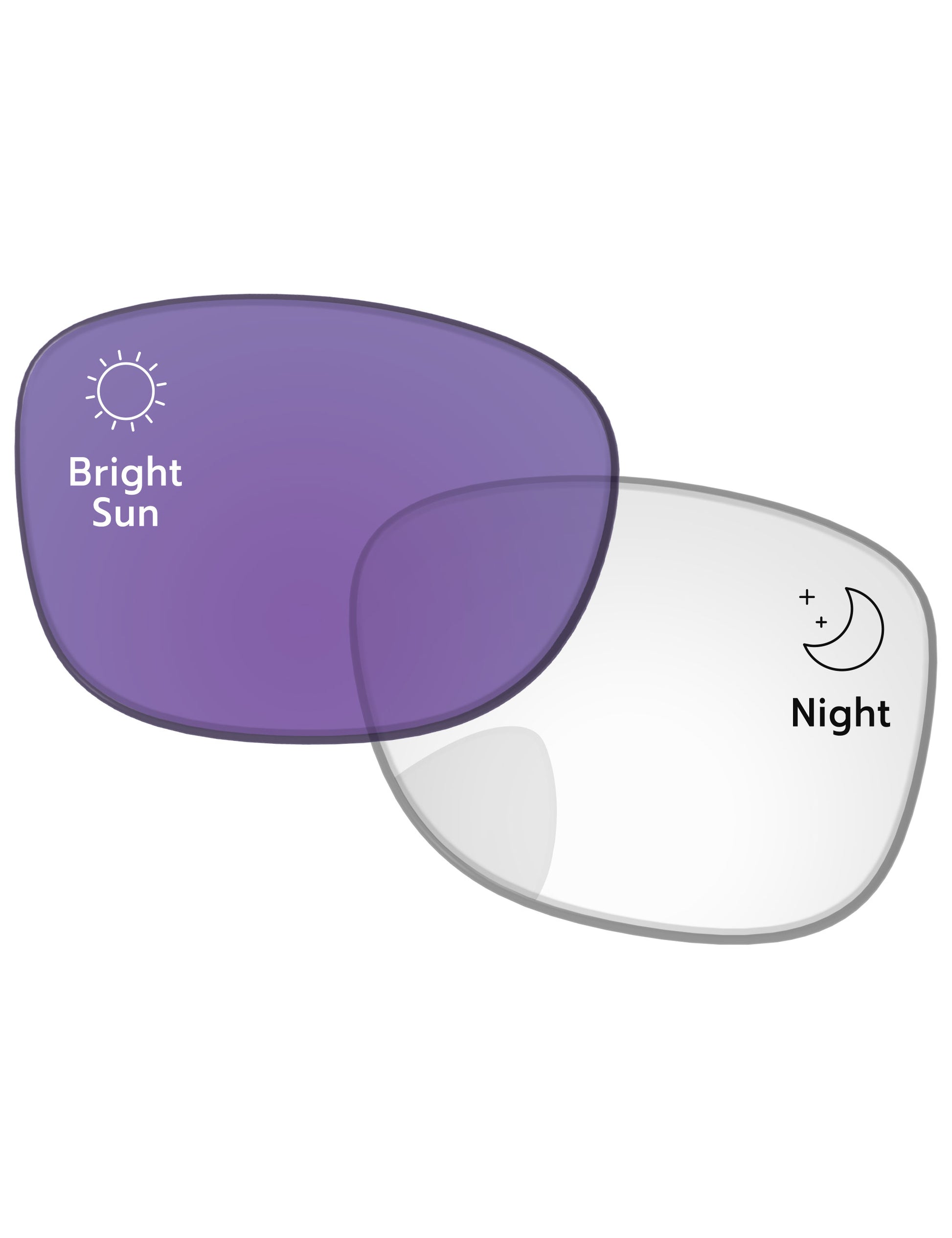 Adapt Purple Photochromic-Standard