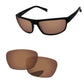 Replacement Lenses for Arnette Borrow AN4259