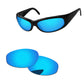 Replacement Lenses for Arnette Catfish AN4174