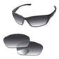 Replacement Lenses for Wiley X Brick